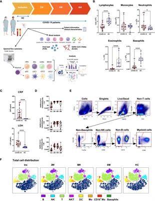 Major alterations to monocyte and dendritic cell subsets lasting more than 6 months after hospitalization for COVID-19